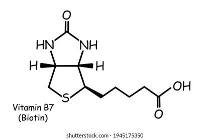 chemical structure template vitamin b7 260nw 1945175350