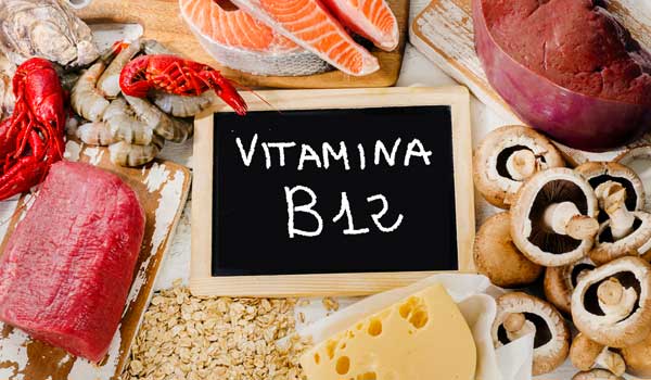 vitamina b12 alimentos
